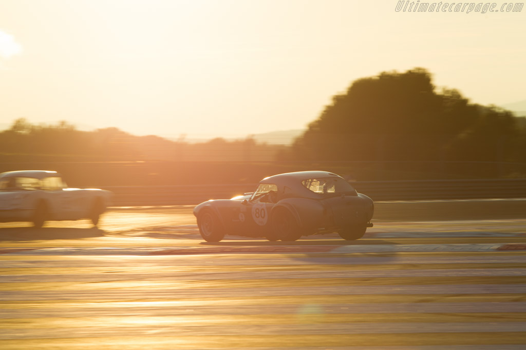 AC Shelby Cobra - Chassis: CSX2111 - Driver: Pierre-Alain France / Erwin France - 2014 Dix Mille Tours