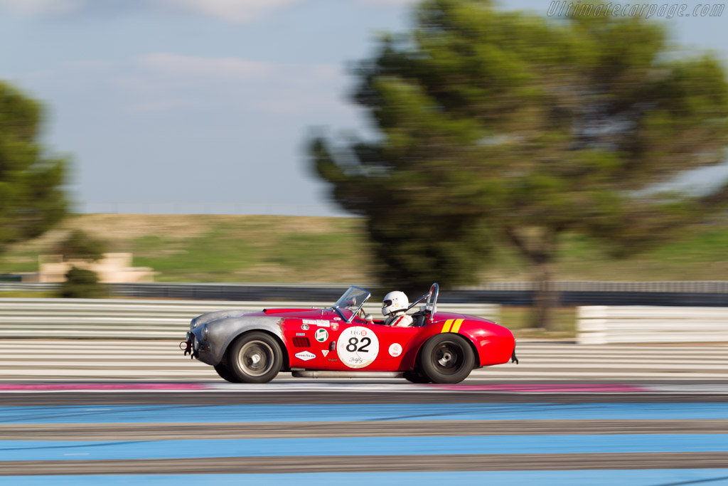 AC Shelby Cobra - Chassis: CSX2009 - Driver: Xavier Galant / Vincent Neurrisse - 2014 Dix Mille Tours