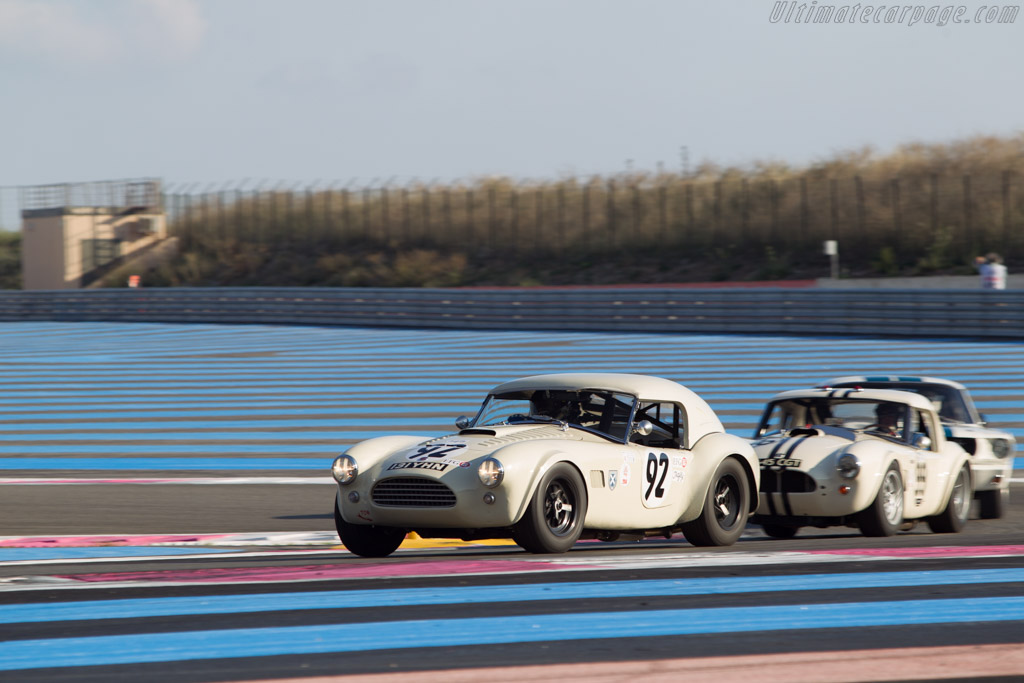 AC Shelby Cobra - Chassis: COB6008 - Driver: Tim Summers - 2014 Dix Mille Tours