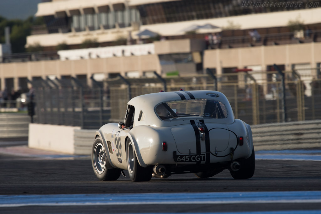 AC Shelby Cobra Le Mans - Chassis: CSX2142 - Entrant: Carlos Monteverde - Driver: Gary Pearson - 2014 Dix Mille Tours