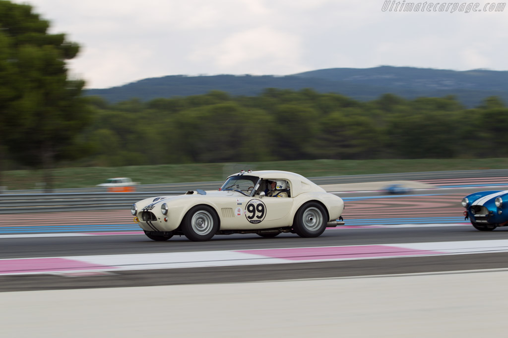 AC Shelby Cobra Le Mans - Chassis: CSX2142 - Entrant: Carlos Monteverde - Driver: Gary Pearson - 2014 Dix Mille Tours