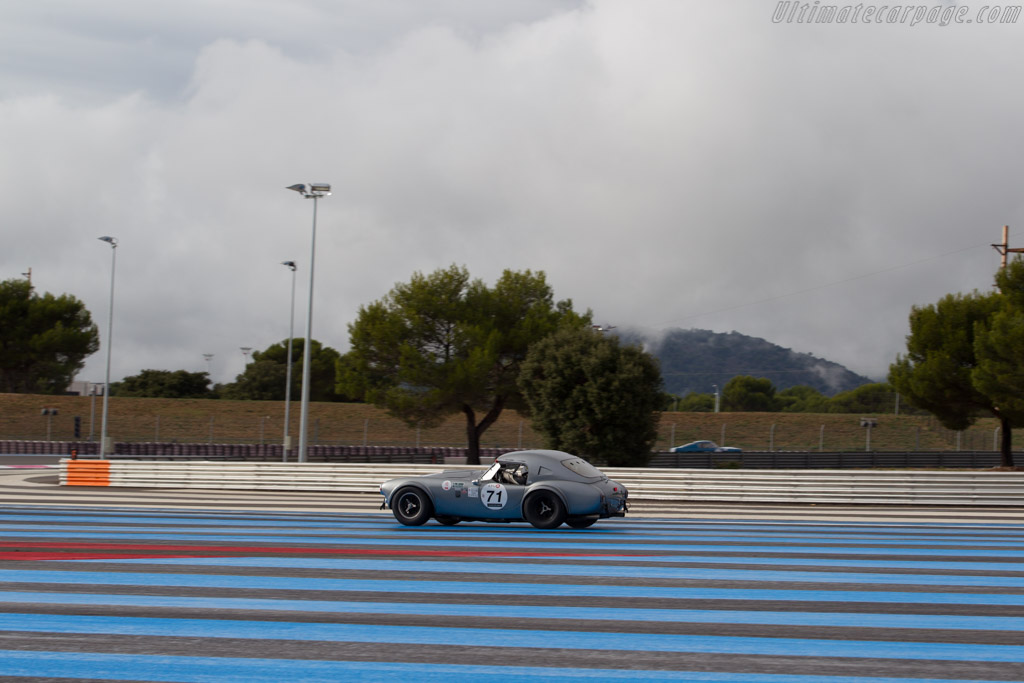 AC Shelby Cobra 289 - Chassis: CSX2111 - Driver: Pierre-Alain France / Erwin France - 2015 Dix Mille Tours
