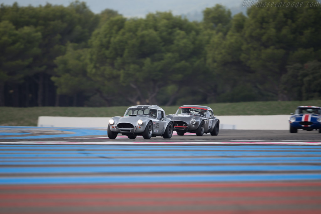 AC Shelby Cobra - Chassis: CSX2029 - Driver: Nicolas Chambon - 2016 Dix Mille Tours