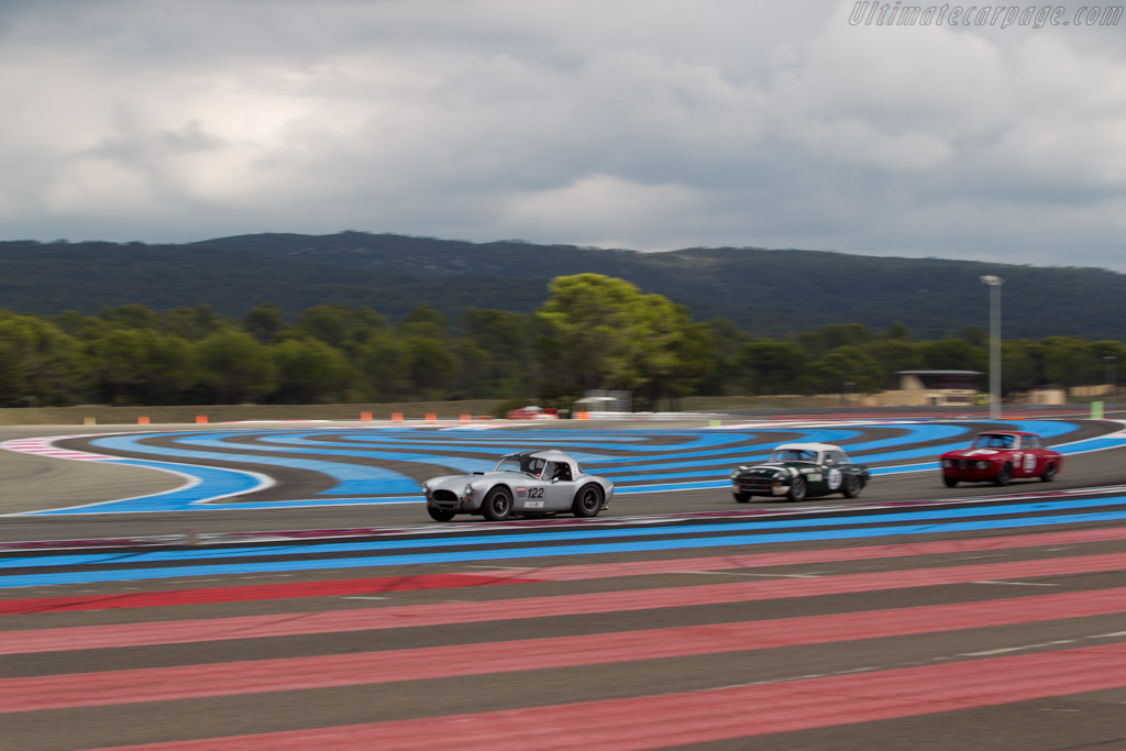 AC Shelby Cobra - Chassis: CSX2029 - Driver: Nicolas Chambon - 2016 Dix Mille Tours