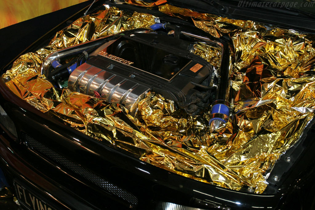 Gold lining   - 2005 Essen Motor Show