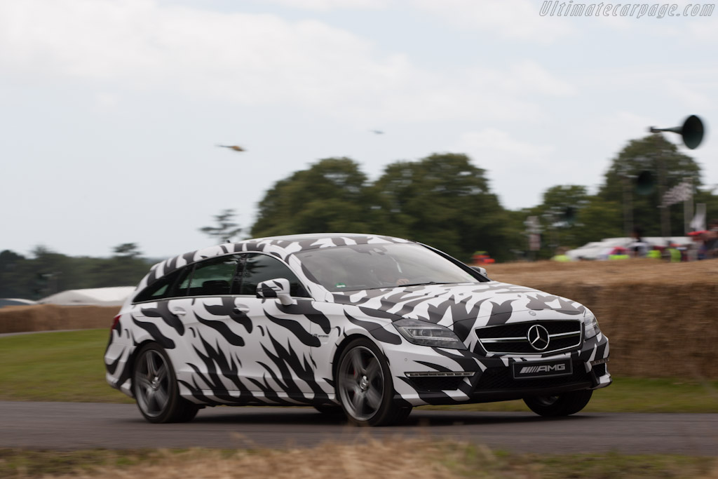 Mercedes-Benz CLS Shooting Brake   - 2012 Goodwood Festival of Speed