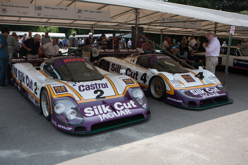 Jaguar XJR-9 - Chassis: J12-C-488 - Entrant: Jaguar Daimler Heritage Trust - 2013 Goodwood Festival of Speed