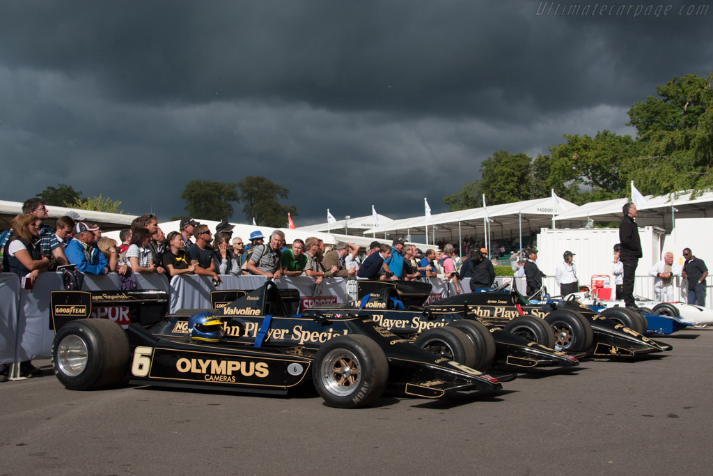 Lotus 79 Cosworth - Chassis: 79/2 - Entrant: Classic Team Lotus - 2014 Goodwood Festival of Speed