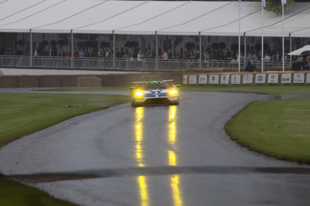 Ford GT LM GTE  - Entrant: Ford Chip Ganassi Team - Driver: Marino Franchitti - 2016 Goodwood Festival of Speed