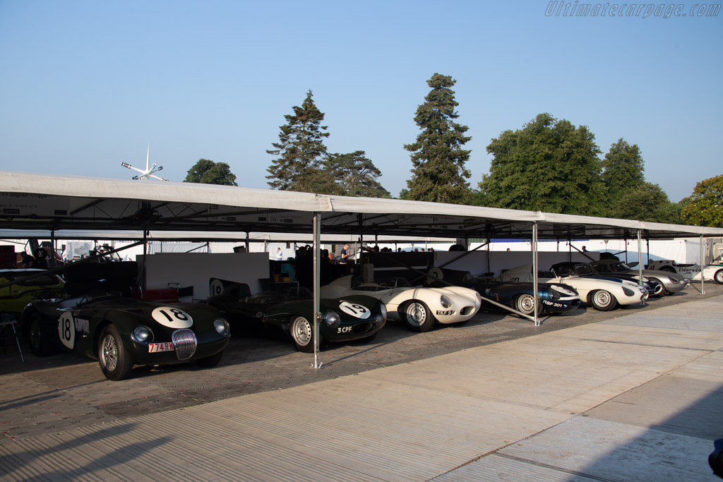 Jaguars   - 2018 Goodwood Festival of Speed