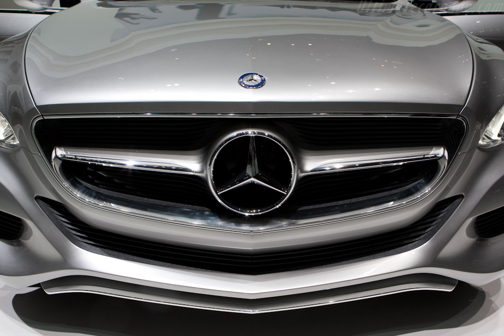 Mercedes-Benz F 800 Style Concept   - 2010 Geneva International Motor Show