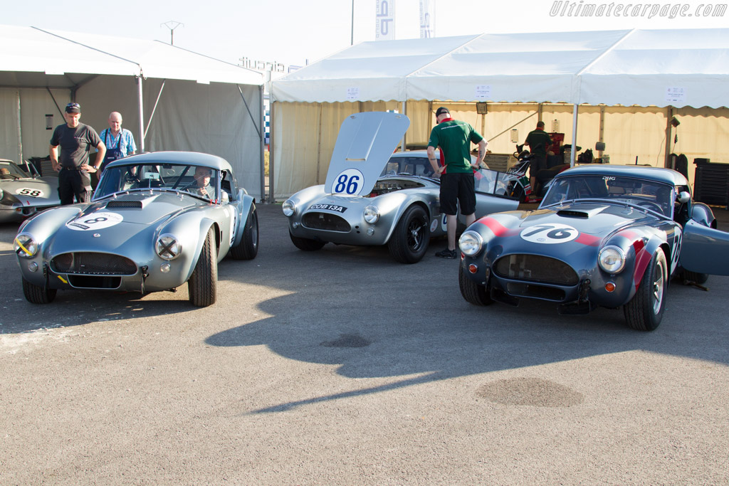 Cobras galore   - 2015 Grand Prix de l'Age d'Or