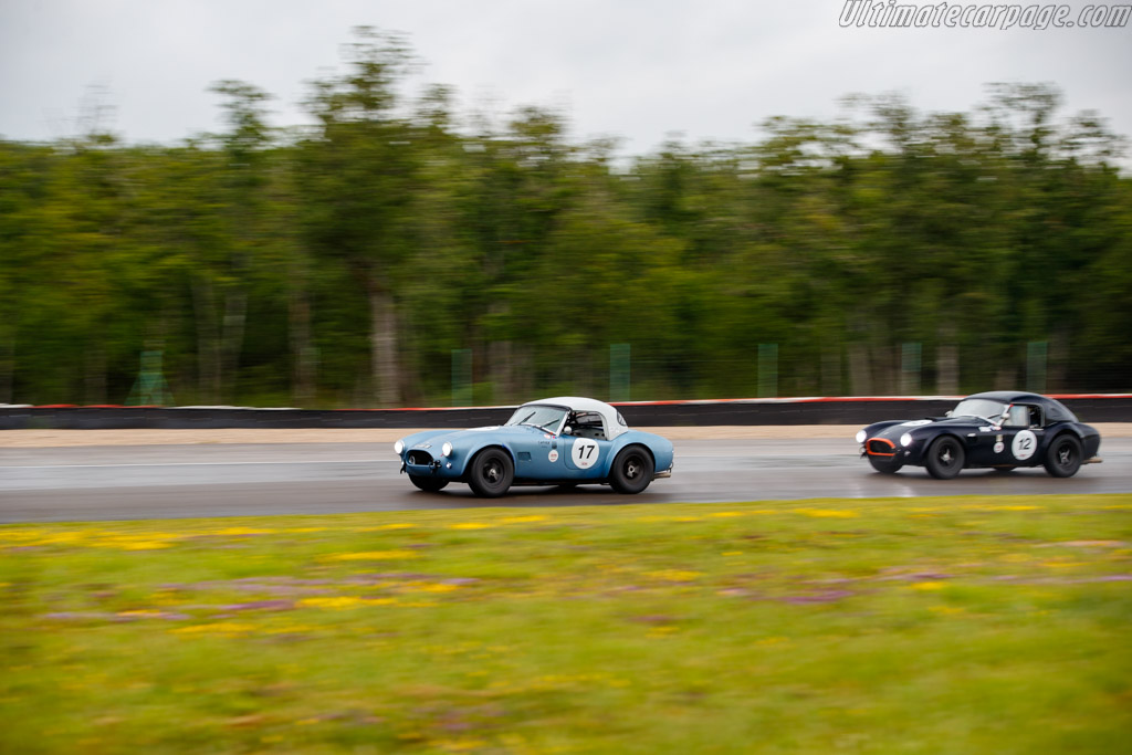 AC Shelby Cobra 289 - Chassis: COB6024 - Driver: Luc-Pierre Verquin - 2024 Grand Prix de l'Age d'Or
