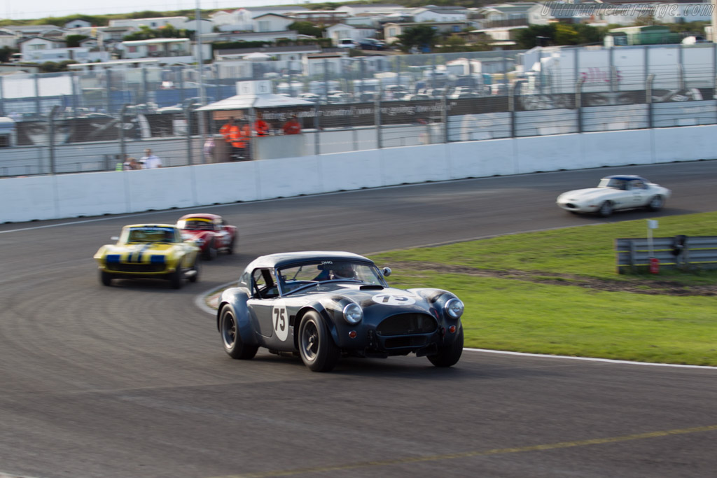 AC Shelby Cobra - Chassis: CSX2174 - Driver: Hans Hugenholtz / Tom Coronel - 2015 Historic Grand Prix Zandvoort