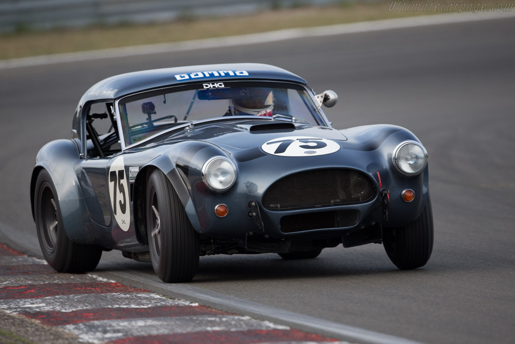 AC Shelby Cobra - Chassis: CSX2174 - Driver: Hans Hugenholtz / Alexander van der Lof - 2016 Historic Grand Prix Zandvoort