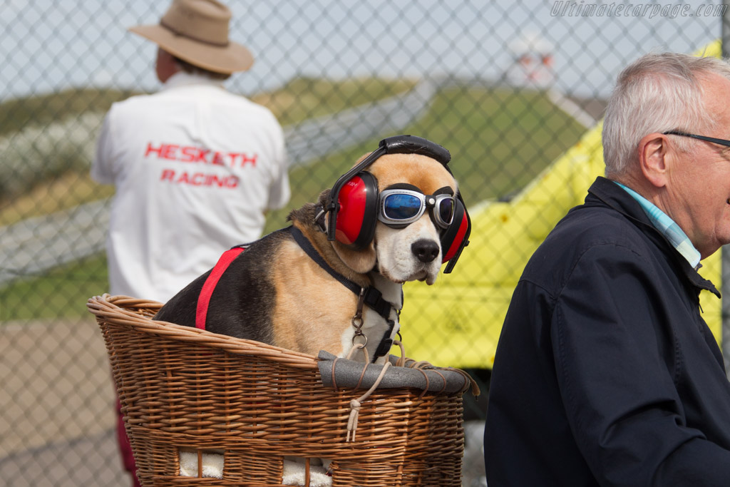 Welcome to Zandvoort   - 2016 Historic Grand Prix Zandvoort