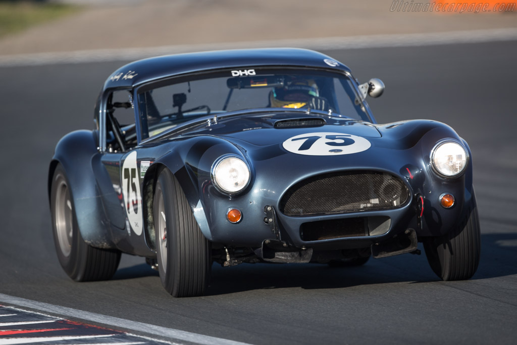 AC Cobra - Chassis: CSX2174 - Driver: Hans Hugenholtz - 2017 Historic Grand Prix Zandvoort
