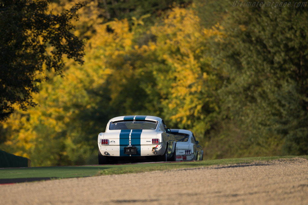 Ford Shelby Mustang GT350 - Chassis: SFM6S508 - Driver: Thomas Studer - 2016 Imola Classic