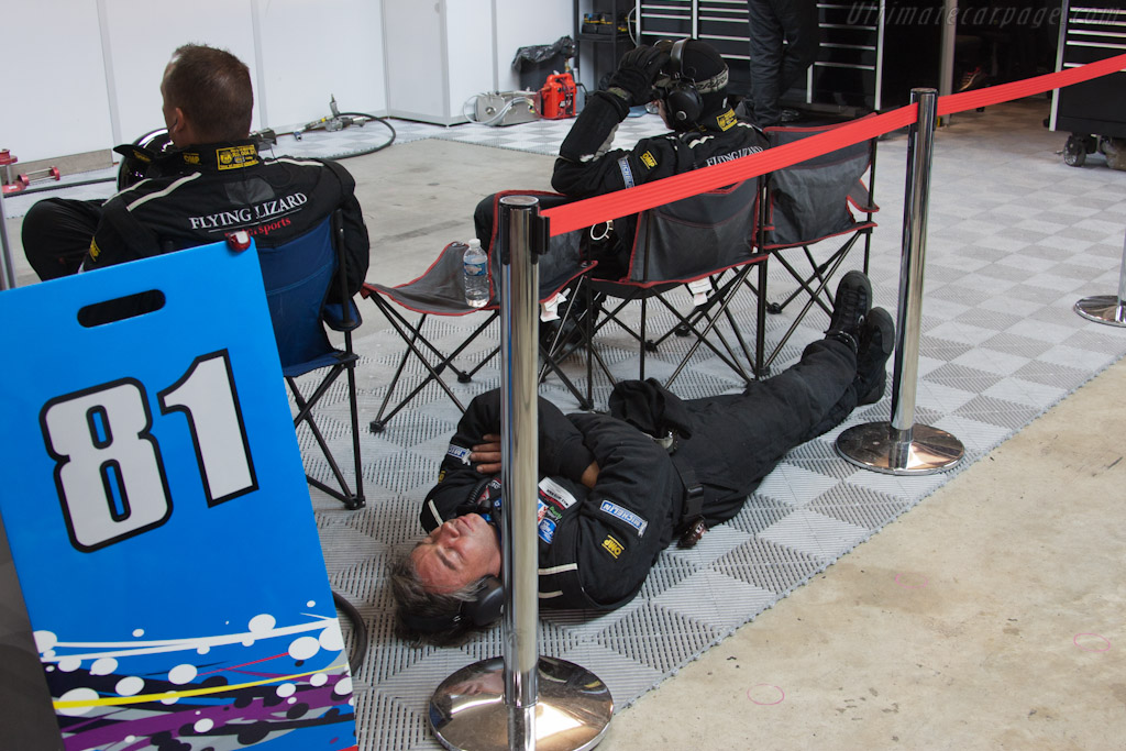 Sleeping Lizard   - 2011 24 Hours of Le Mans
