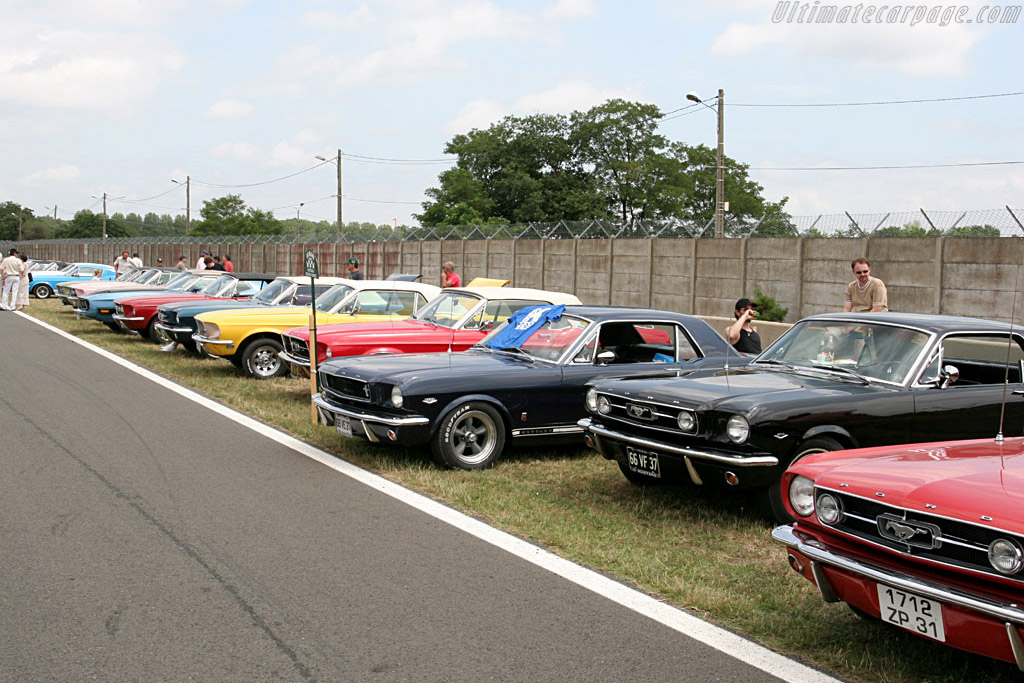 Mustangs as far as the eye can see   - 2006 Le Mans Classic
