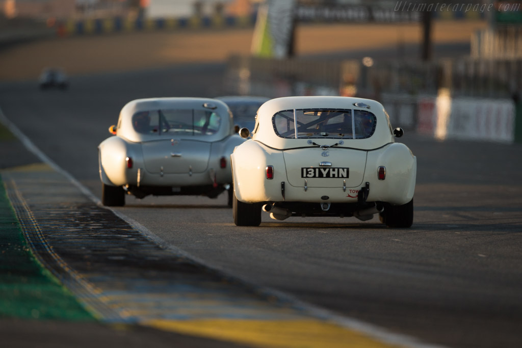 AC Shelby Cobra - Chassis: COB6008 - Driver: Tim Summers / James Cottingham - 2016 Le Mans Classic