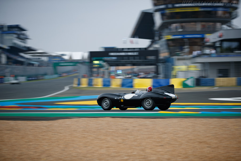 Jaguar D-Type  - Driver: Niklas Halusa / Lukas Halusa - 2023 Le Mans Classic