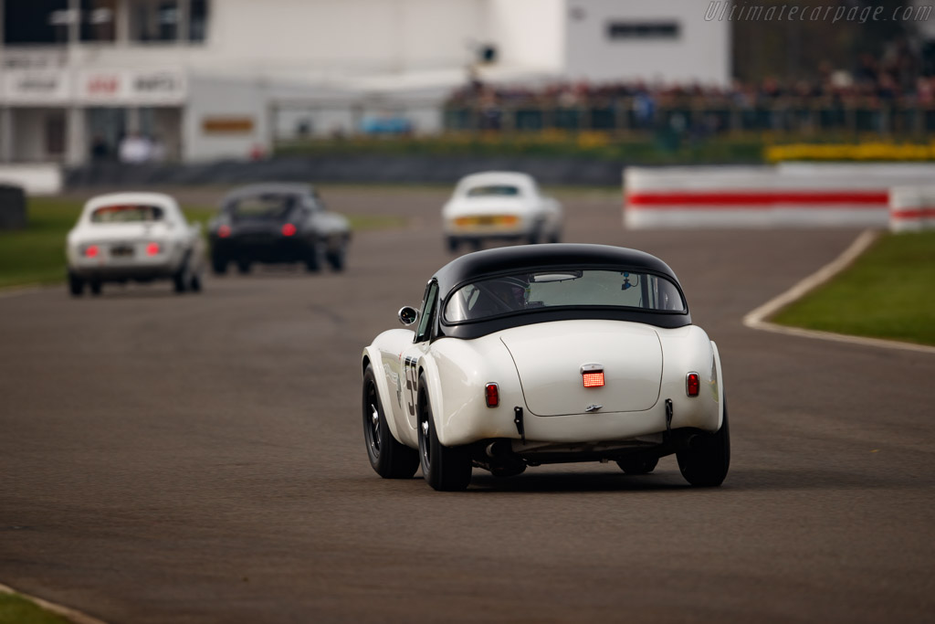 AC Shelby Cobra 260 - Chassis: CSX2035 - Entrant: Richard Cook - Driver: James Cottingham - 2023 Goodwood Members' Meeting