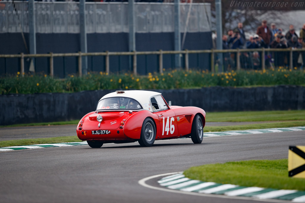 Austin Healey 3000 Mk1  - Entrant: Michael Darcey - Driver: Paul Woolmer - 2023 Goodwood Members' Meeting