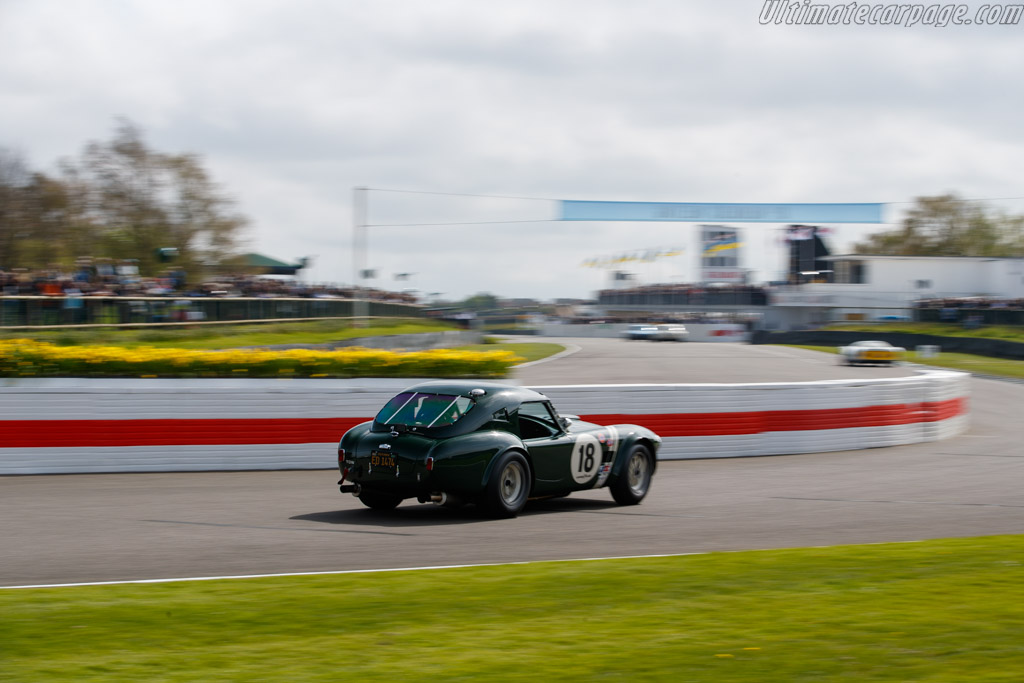 AC Shelby Cobra  - Entrant / Driver Nikolaus Ditting - 2024 Goodwood Members' Meeting