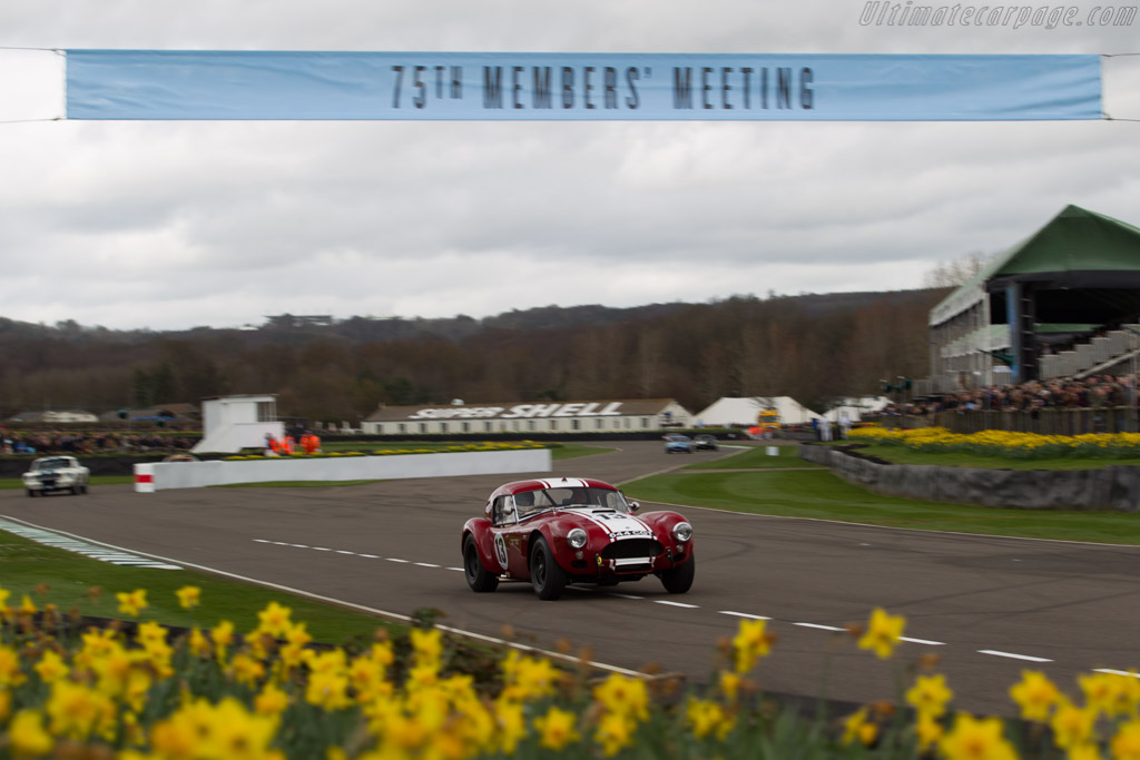 AC Shelby Cobra Le Mans - Chassis: CSX2130 - Entrant: Shaun Lynn - Driver: Emmanuele Pirro / Shaun Lynn - 2017 Goodwood Members' Meeting