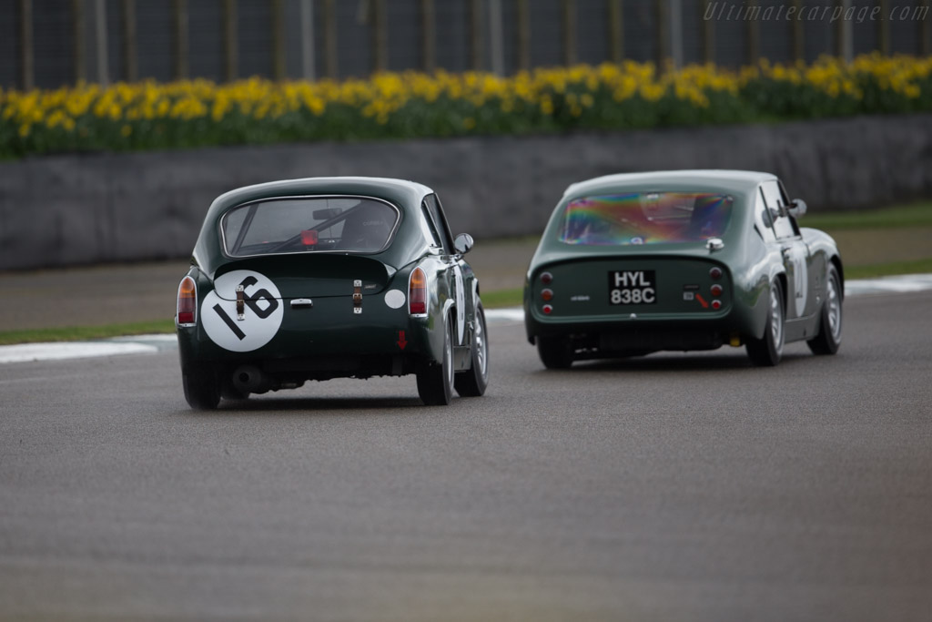 Ashley GT  - Driver: Brian Small - 2017 Goodwood Members' Meeting