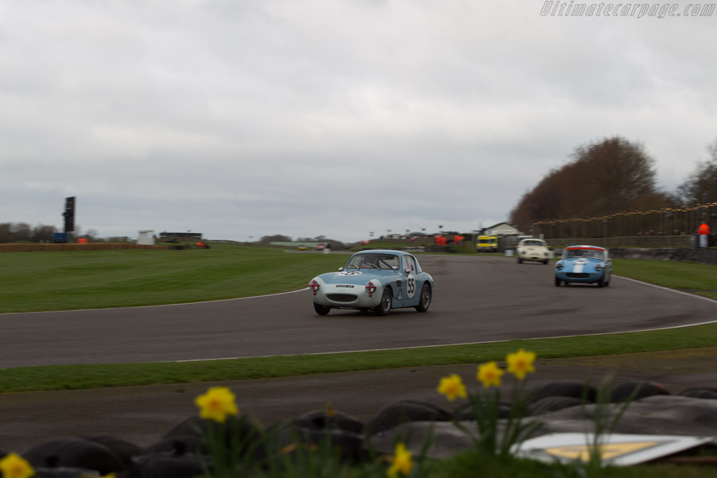 Austin Healey Sebring Sprite  - Driver: Asher Smith Robson - 2017 Goodwood Members' Meeting