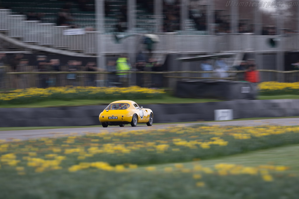 Austin Healey Sebring Sprite  - Driver: Charles Clegg - 2017 Goodwood Members' Meeting