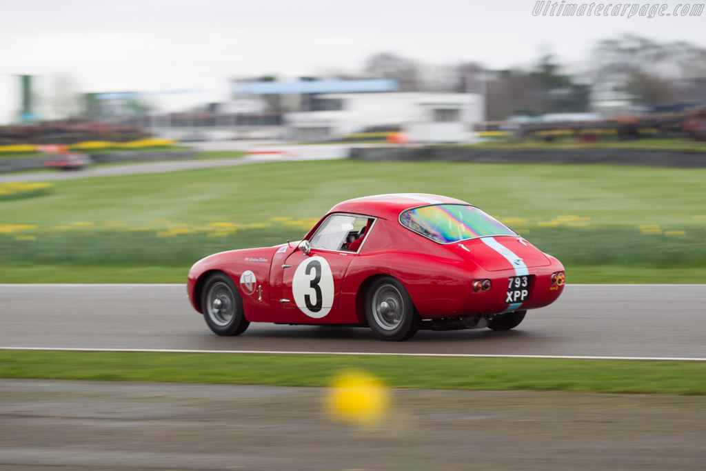 WSM Midget - Chassis: 202S - Driver: Graham Robson - 2017 Goodwood Members' Meeting