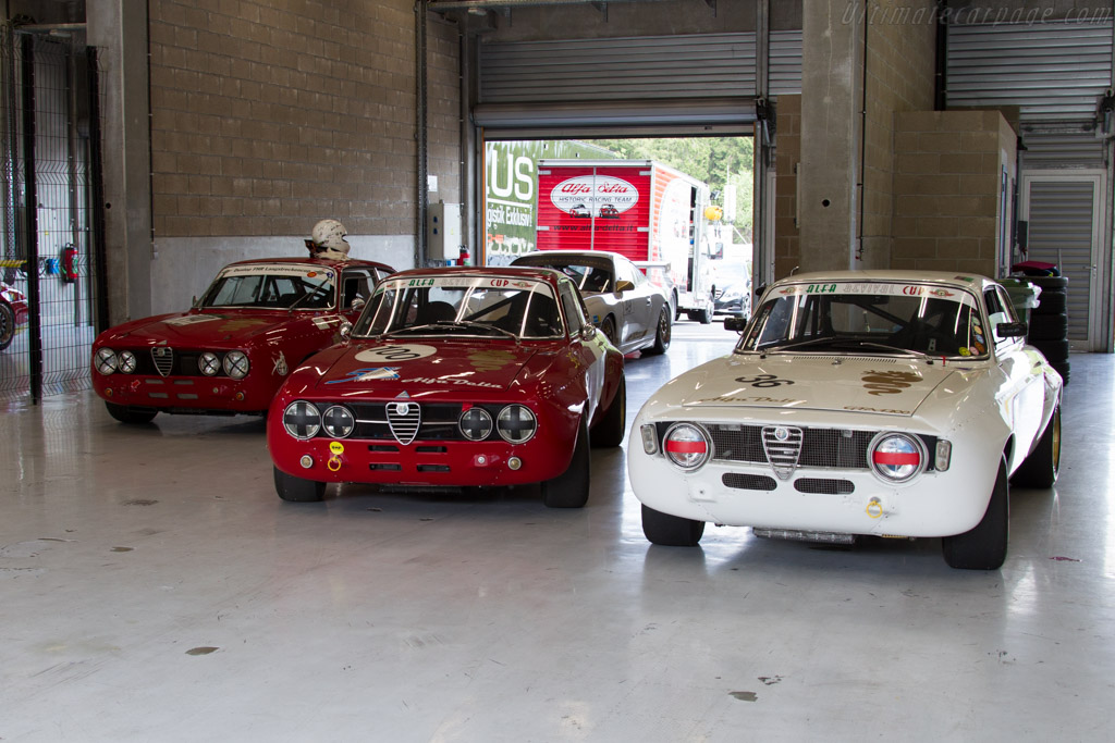 Alfa Romeo 1750 GTAm - Chassis: 4358482  - 2015 Modena Trackdays