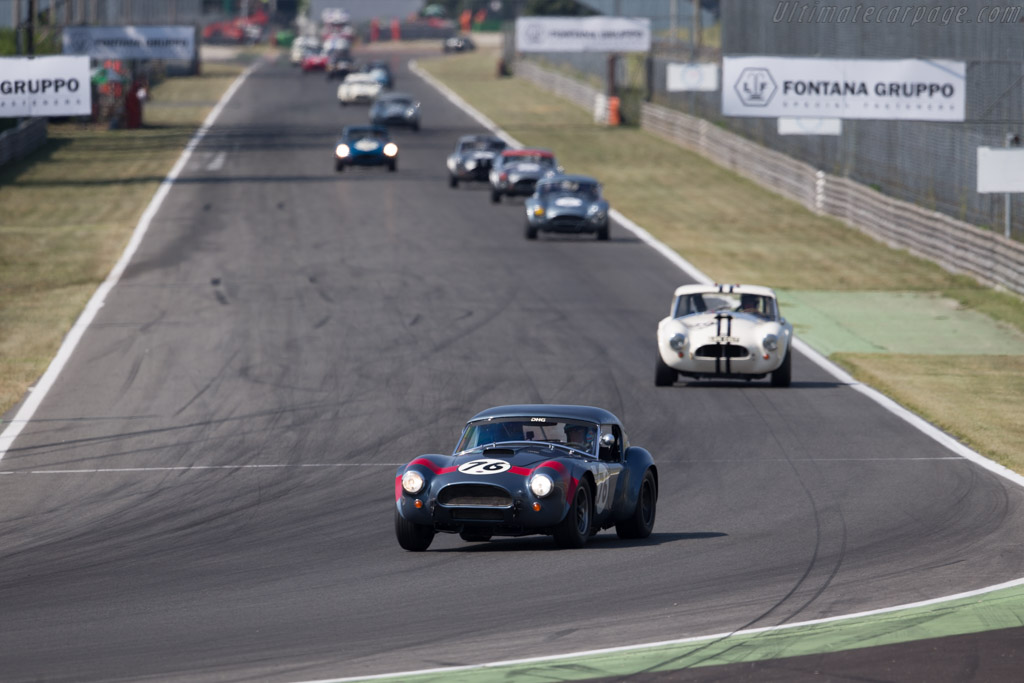 AC Shelby Cobra - Chassis: CSX2049 - Driver: David Hart / Giedo van der Garde - 2015 Monza Historic