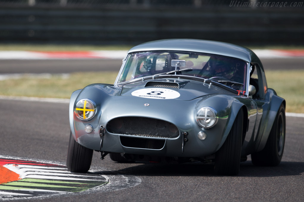 AC Shelby Cobra - Chassis: CSX2229 - Driver: Philipp Oettli - 2015 Monza Historic