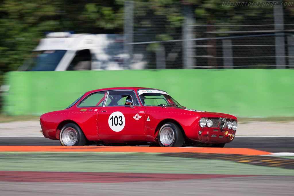 Alfa Romeo 1750 GTAm  - Driver: Bernd Winkler / Christophe Winkler - 2015 Monza Historic