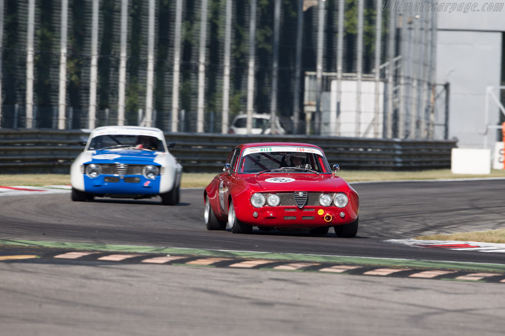 Alfa Romeo 1750 GTAm  - Driver: Bernd Winkler / Christophe Winkler - 2015 Monza Historic