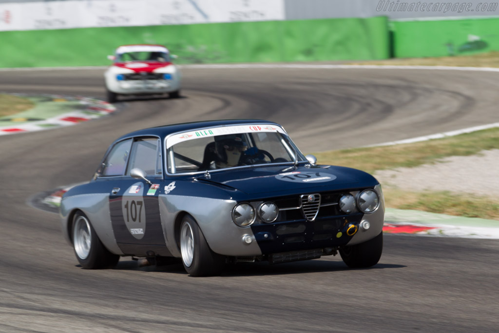 Alfa Romeo 2000 GTAm - Chassis: 1379756 - Driver: Daniele Facetti - 2015 Monza Historic