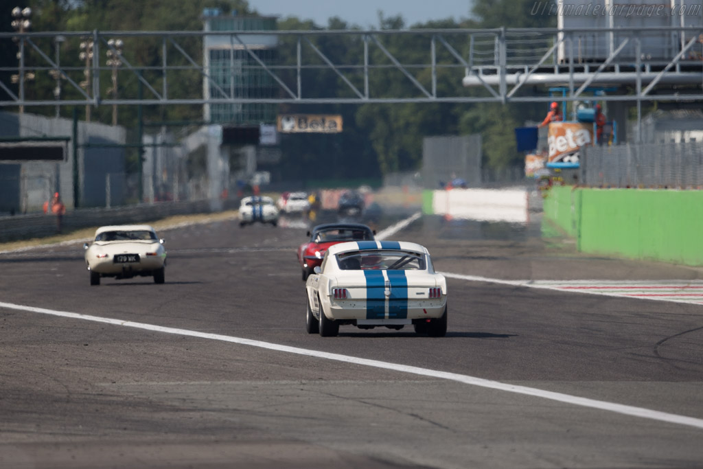 Ford Shelby Mustang GT350R - Chassis: SFM5R107 - Driver: Richard Meier / Remo Lips - 2015 Monza Historic