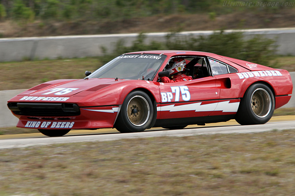 Ferrari 308 GTB Group 4 Michelotto - Chassis: 19595  - 2006 Cavallino Classic