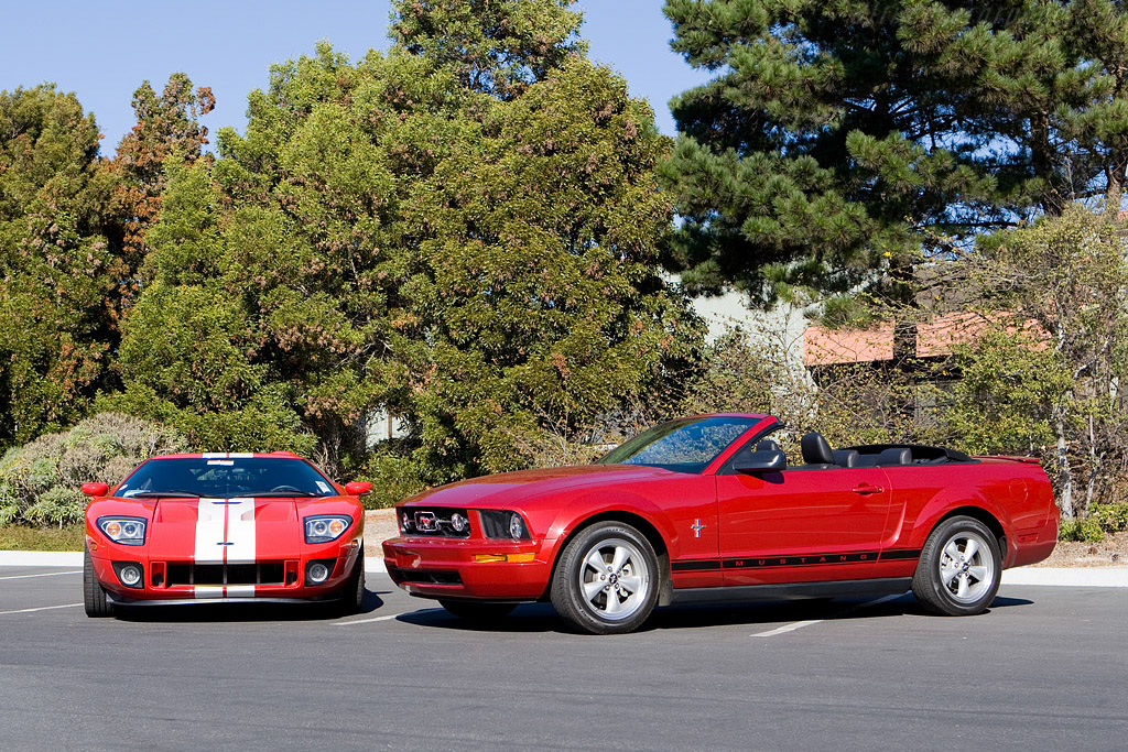 Mustang and friend