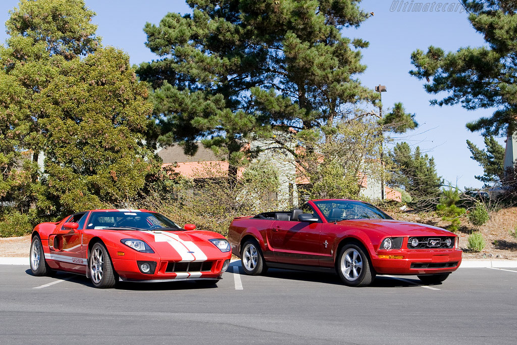 Mustang and friend