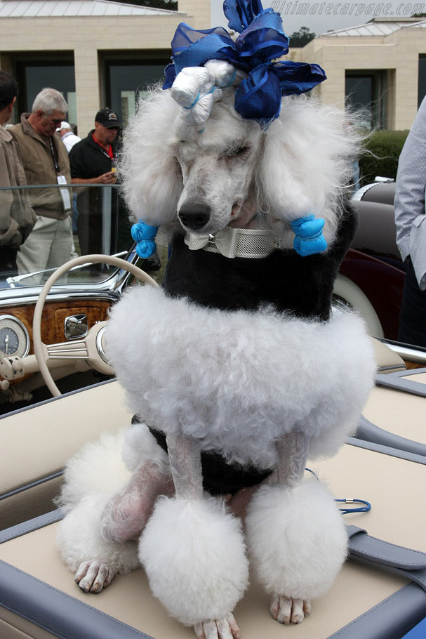 Paris   - 2008 Pebble Beach Concours d'Elegance