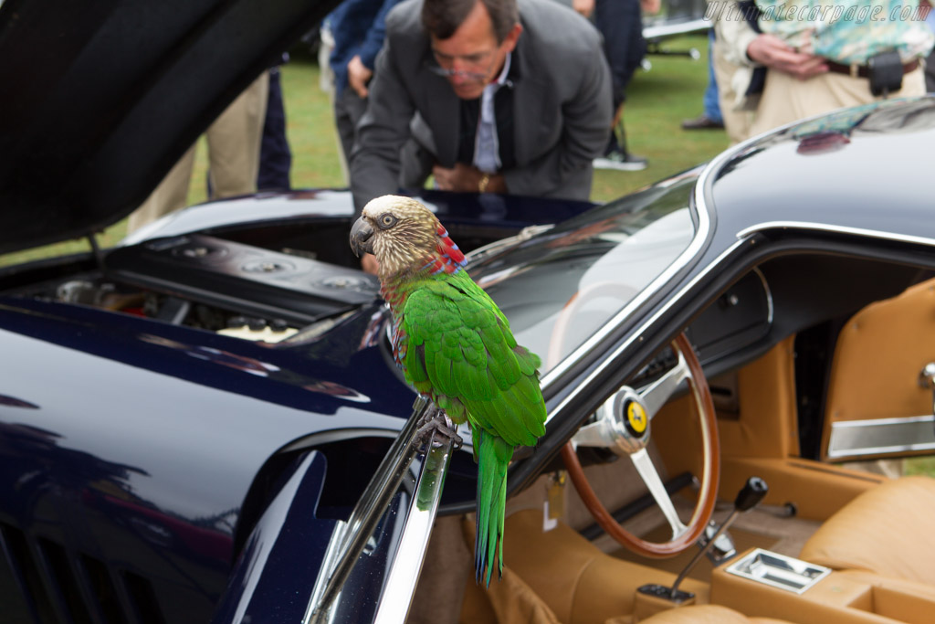 Parrot   - 2013 Pebble Beach Concours d'Elegance