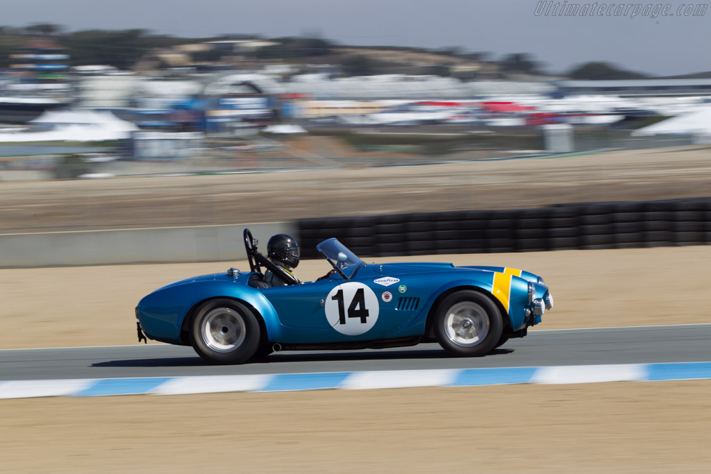 AC Shelby Cobra FIA Roadster - Chassis: CSX2260 - Driver: Chip Connor - 2014 Monterey Motorsports Reunion