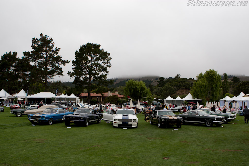 45 Years of the Shelby Mustang   - 2010 The Quail, a Motorsports Gathering