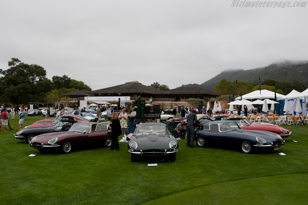 Jaguar E-Types   - 2011 The Quail, a Motorsports Gathering