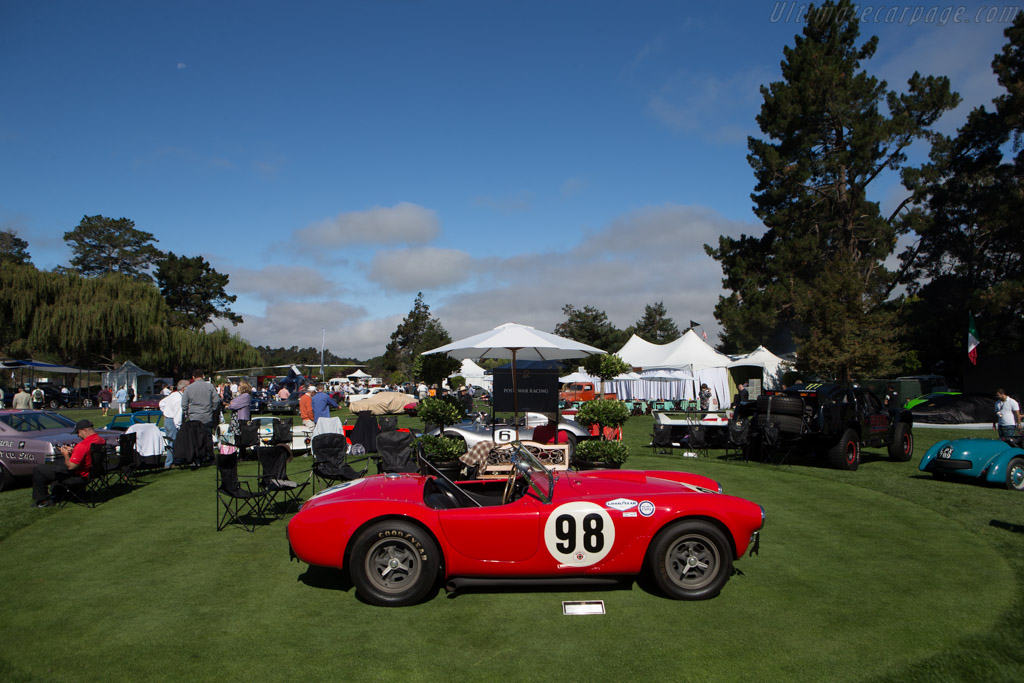 AC Shelby Cobra 289 Team Car - Chassis: CSX2129 - Entrant: David Heinecke & William H. Heinecke - 2014 The Quail, a Motorsports Gathering